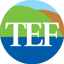 TEF Logo