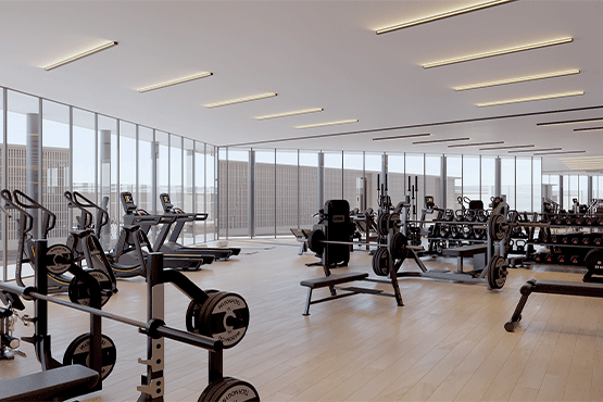 gym gym